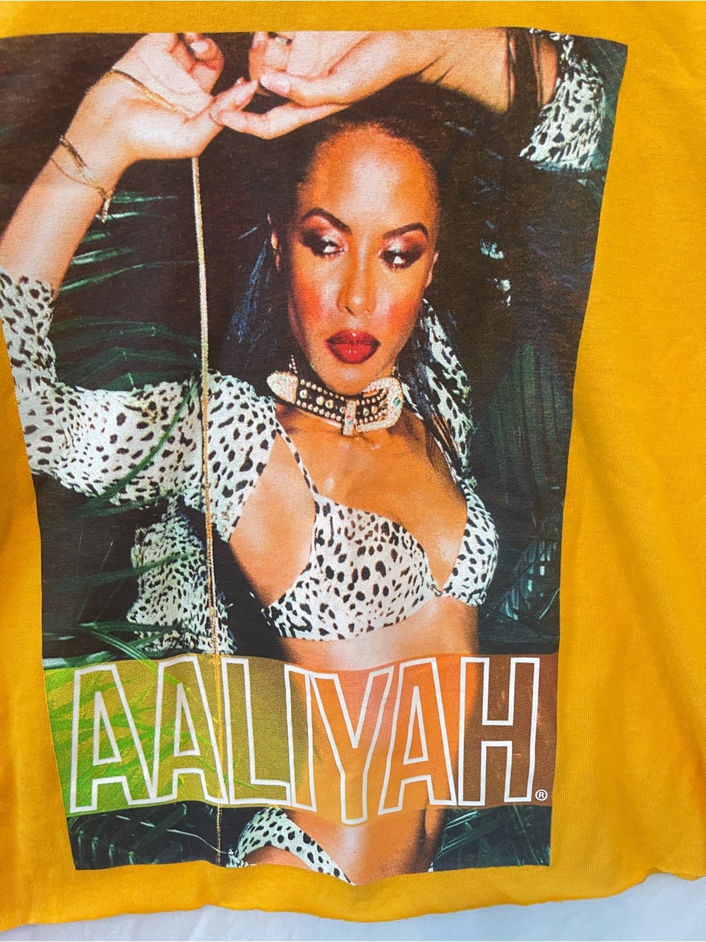 Aaliyah crop Tee - Size -Small